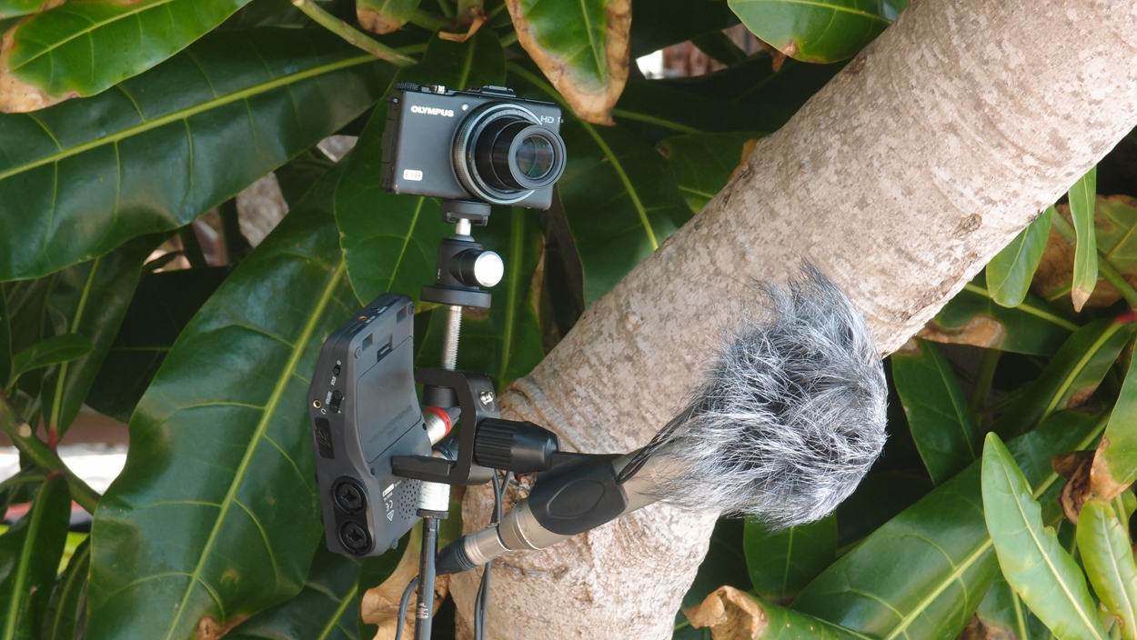 2019-12-28 10 uhr am Strand (Audio, Video)